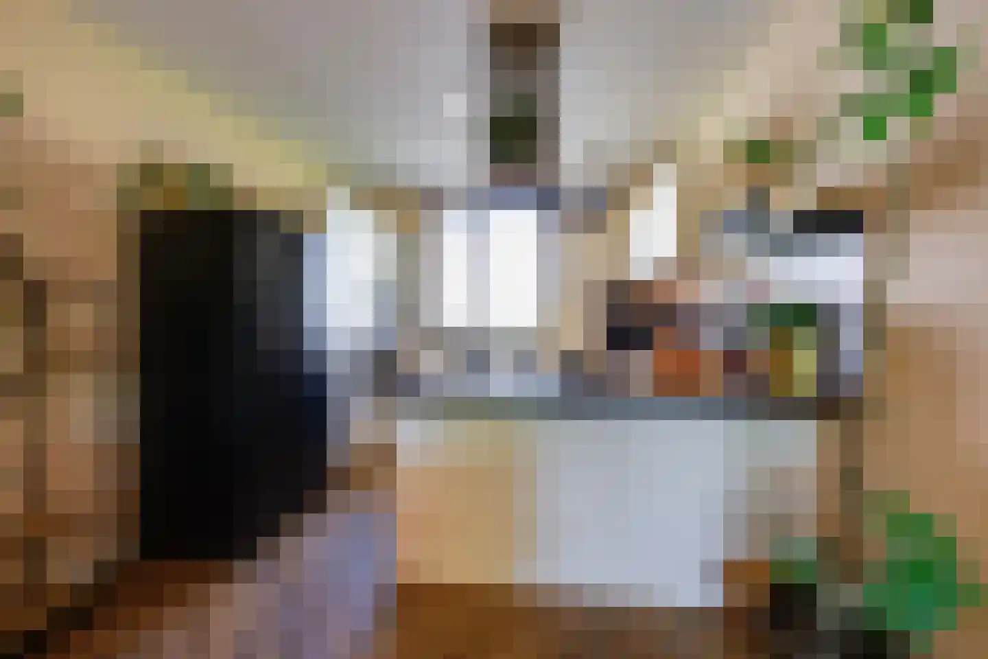 Narcis 6 Krimpen aan den IJssel thumbnail 14