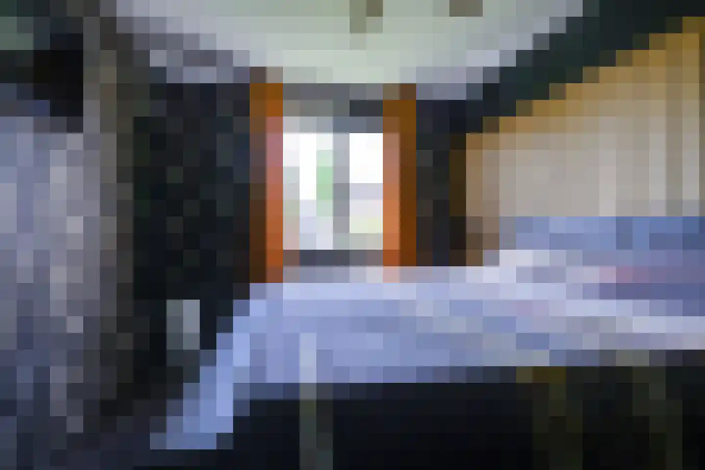 Narcis 6 Krimpen aan den IJssel thumbnail 21