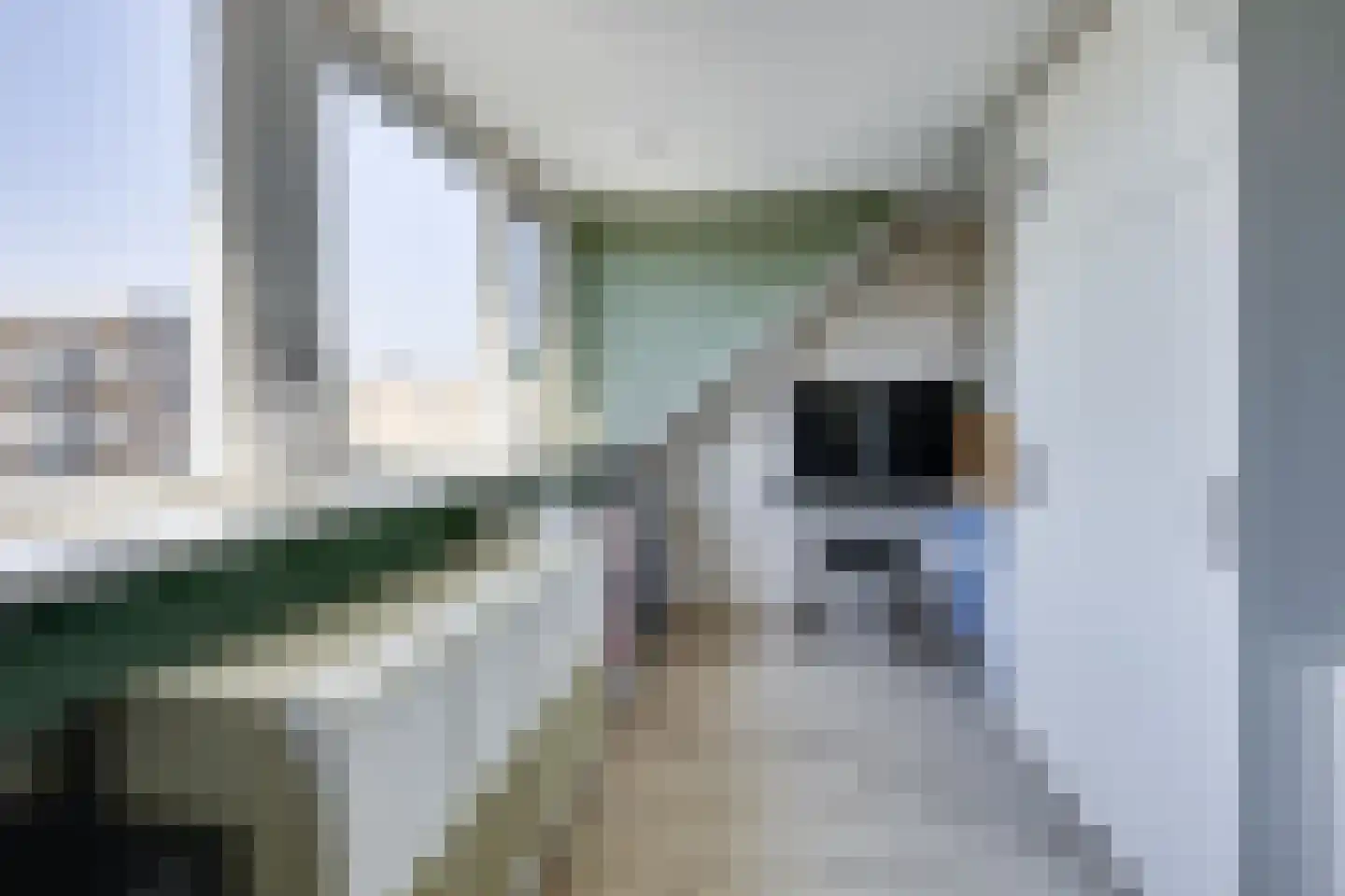Narcis 6 Krimpen aan den IJssel thumbnail 33