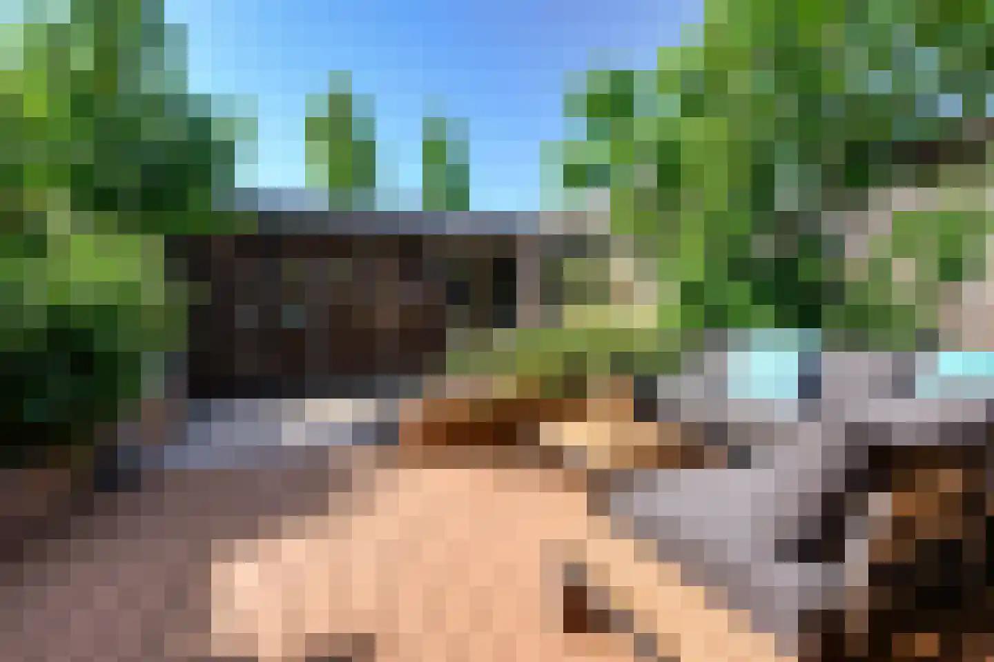 Narcis 6 Krimpen aan den IJssel thumbnail 37