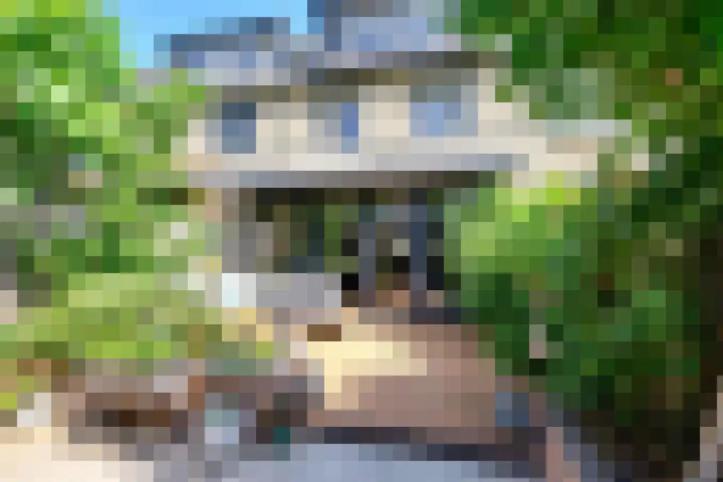 Narcis 6 Krimpen aan den IJssel thumbnail 39