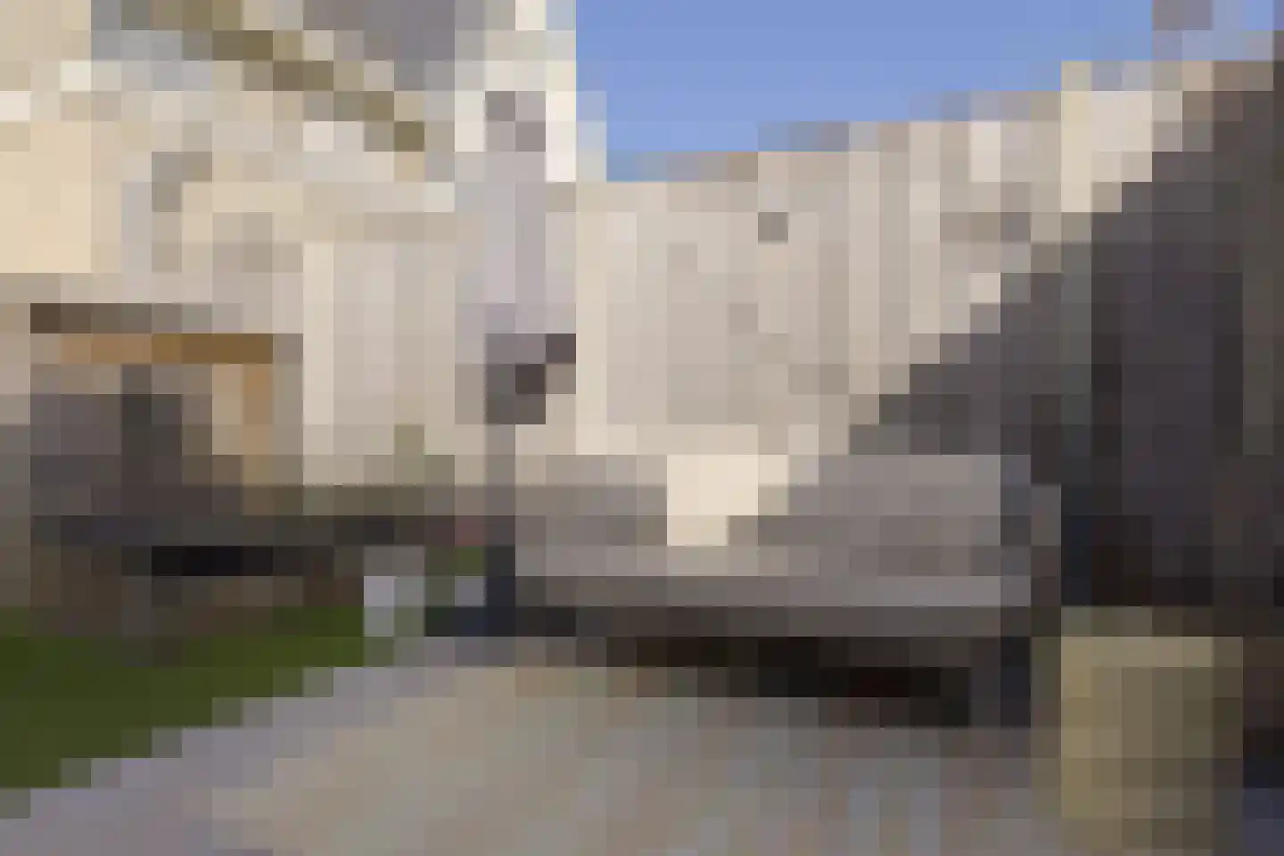 Narcis 6 Voorhout thumbnail 26
