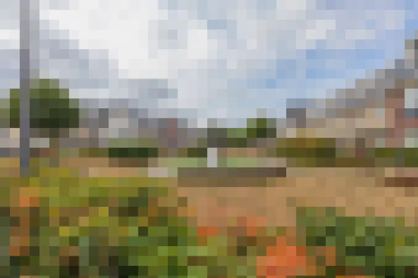 Narcis 6 Voorhout thumbnail 28