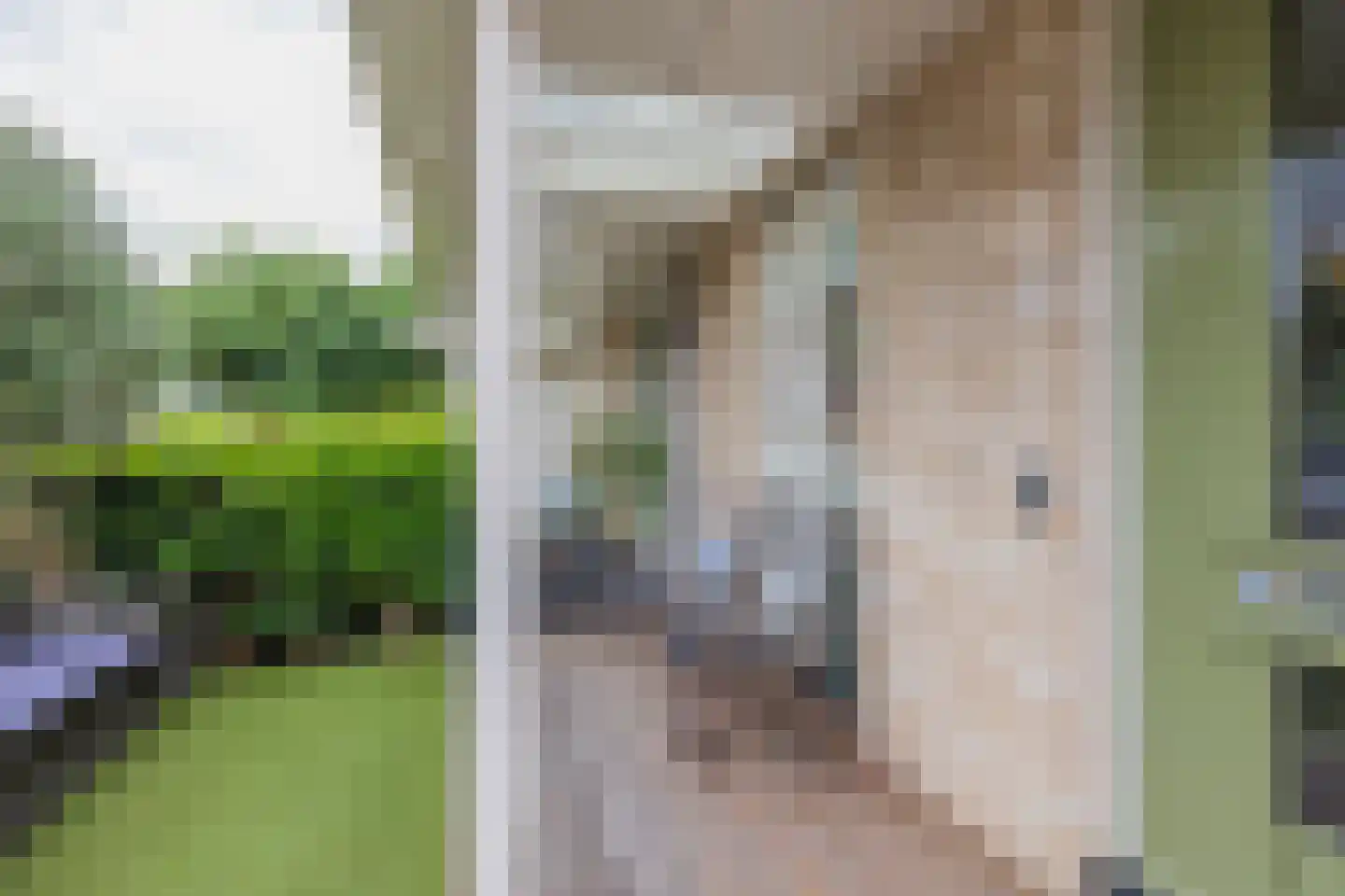 Narcis 6 Voorhout thumbnail 4