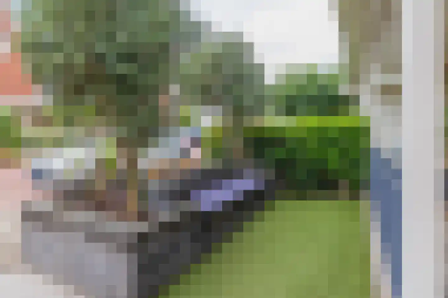 Narcis 6 Voorhout thumbnail 5
