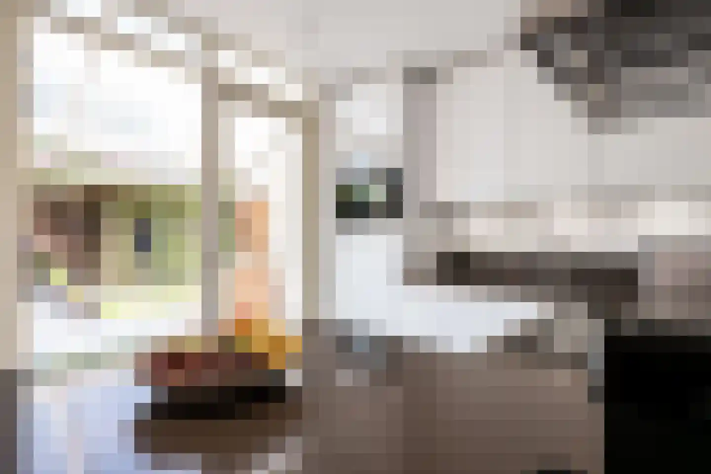 Narcishof 11 Oss thumbnail 12