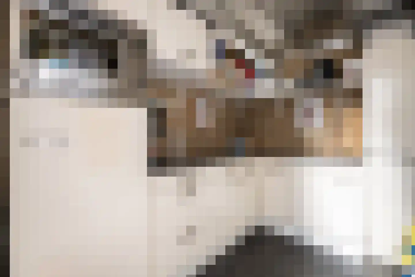 Narcishof 11 Oss thumbnail 15
