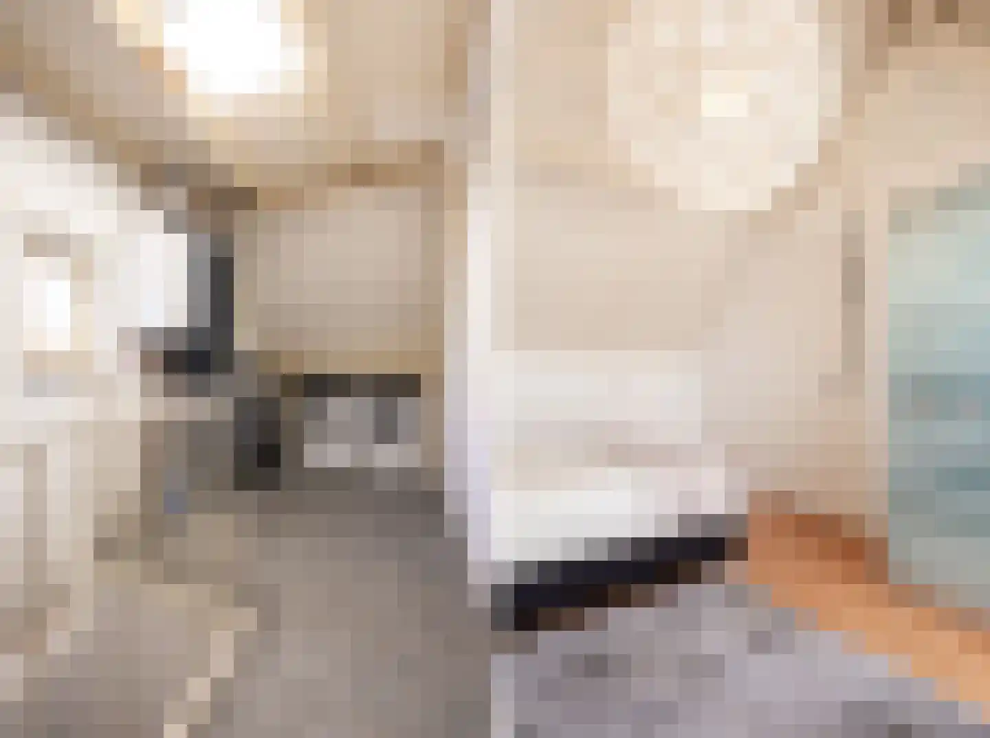 Narcishof 11 Oss thumbnail 20