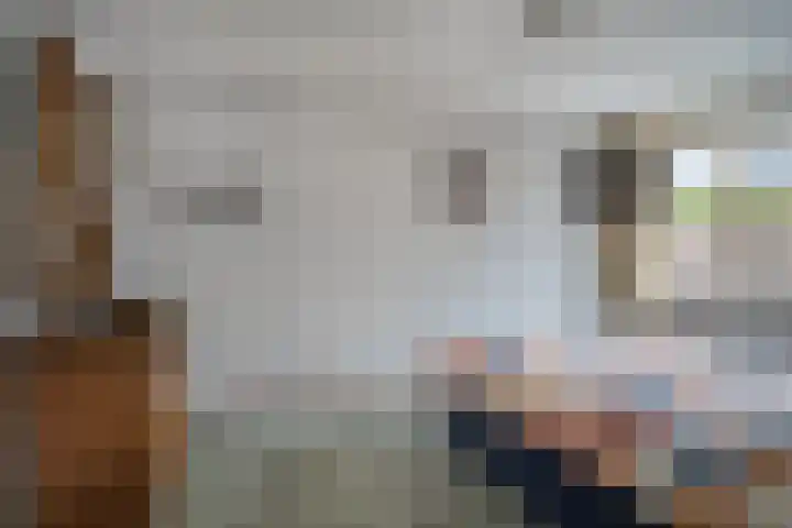 Narcishof 14 Schijndel thumbnail 13