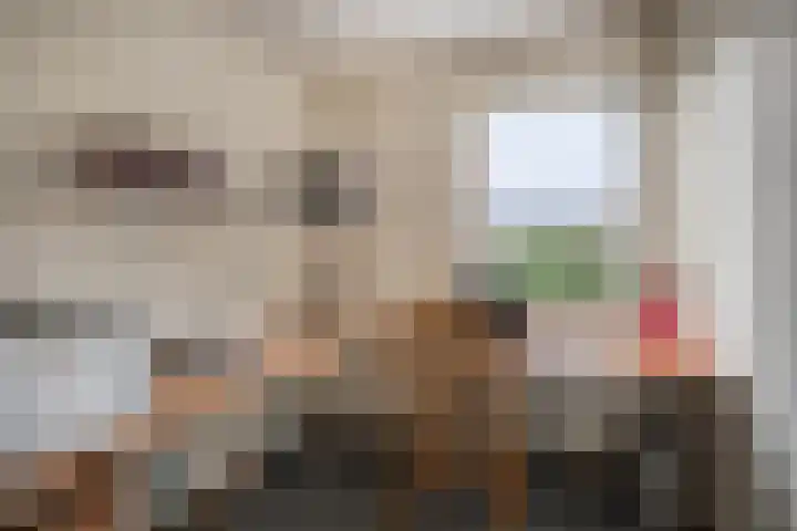Narcishof 14 Schijndel thumbnail 15