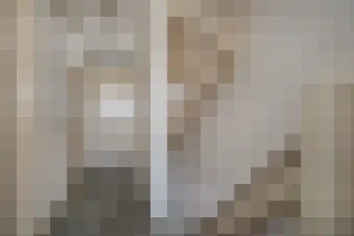 Narcishof 14 Schijndel thumbnail 18