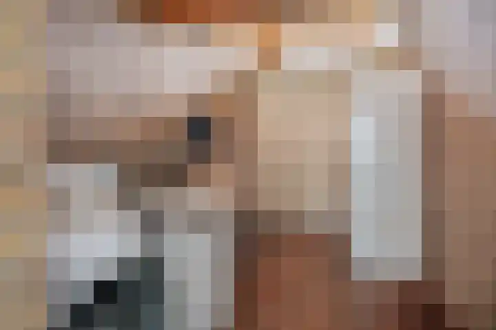 Narcishof 14 Schijndel thumbnail 21
