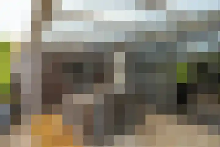 Narcishof 14 Schijndel thumbnail 23