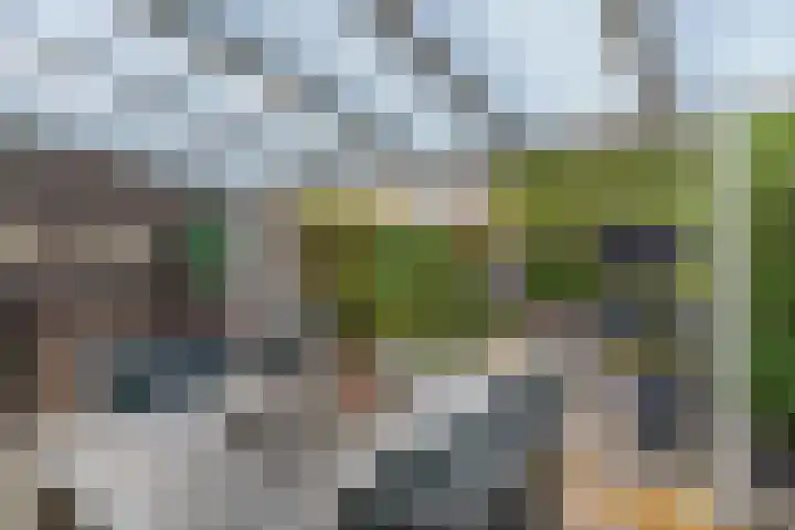 Narcishof 14 Schijndel thumbnail 24