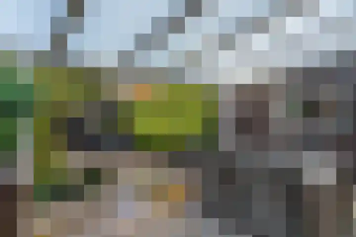Narcishof 14 Schijndel thumbnail 25