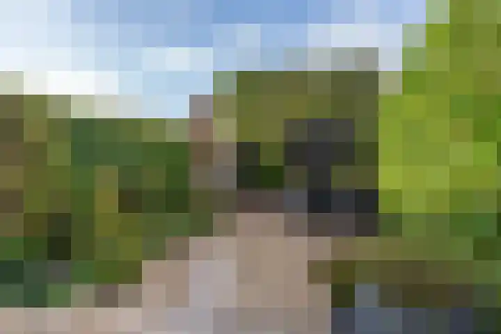 Narcishof 14 Schijndel thumbnail 4