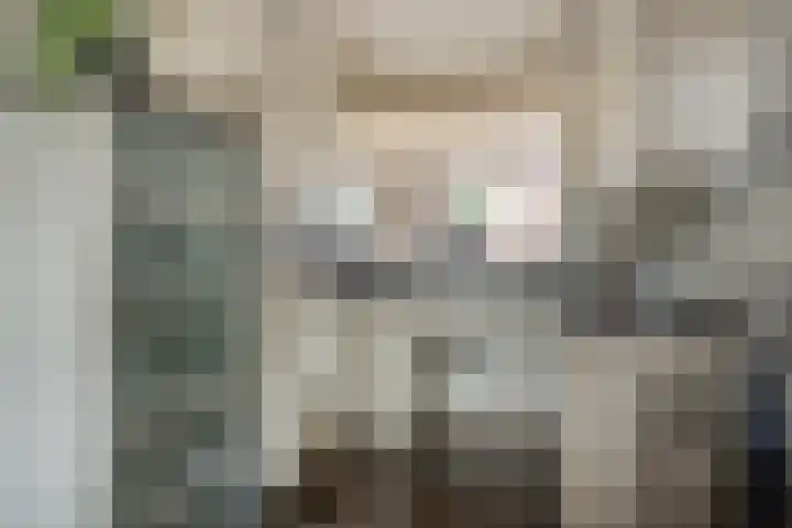 Narcishof 14 Schijndel thumbnail 9