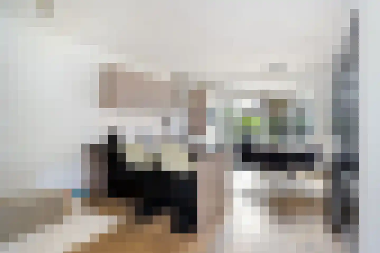 Narcishof 17 Schijndel thumbnail 8