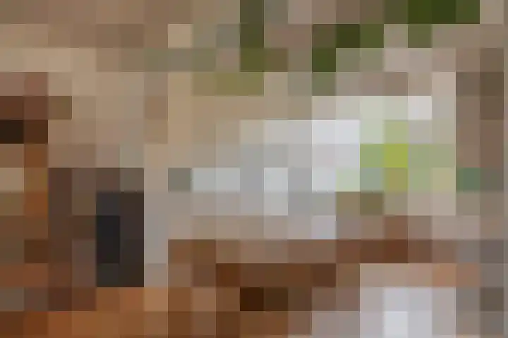 Narcishof 22 Schijndel thumbnail 11