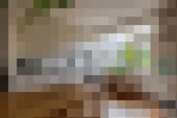 Narcishof 22 Schijndel thumbnail 13
