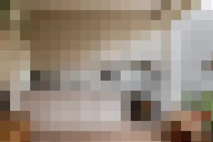 Narcishof 22 Schijndel thumbnail 16