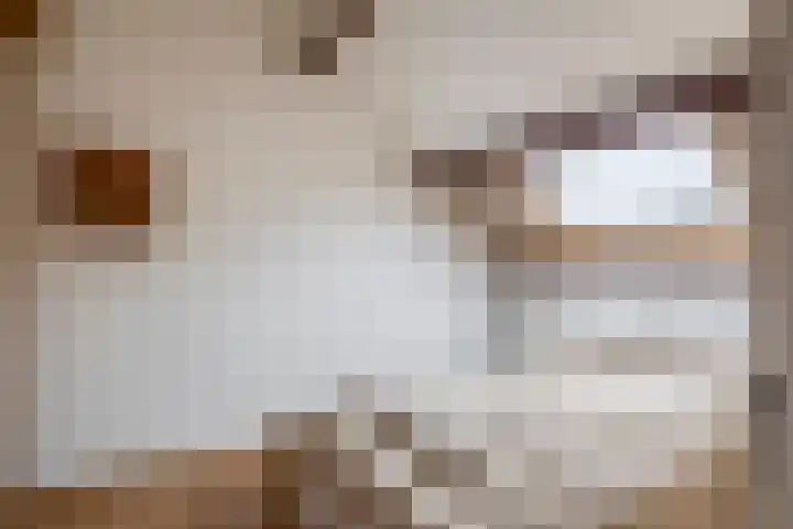 Narcishof 22 Schijndel thumbnail 28