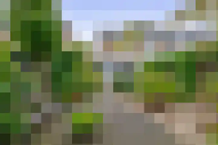 Narcishof 22 Schijndel thumbnail 30
