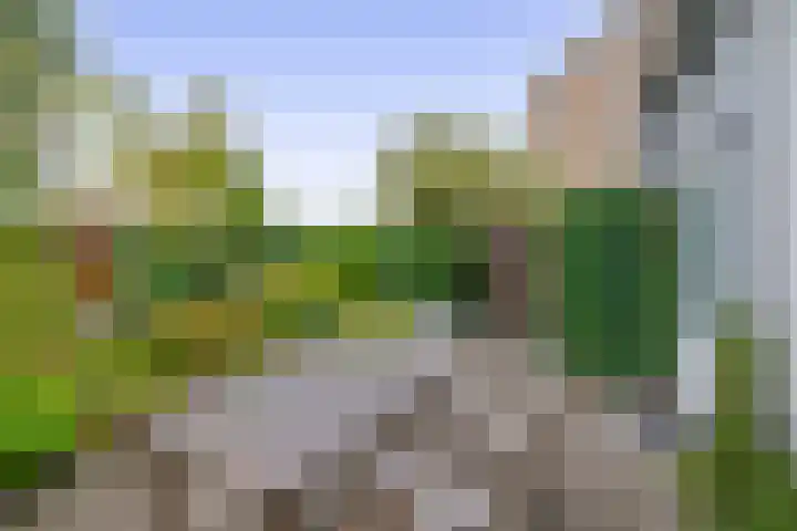 Narcishof 22 Schijndel thumbnail 31
