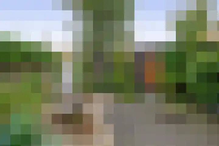 Narcishof 22 Schijndel thumbnail 33