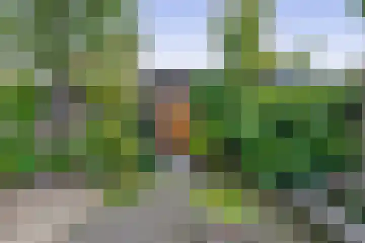 Narcishof 22 Schijndel thumbnail 34