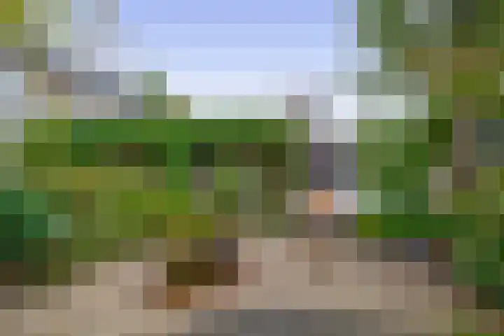 Narcishof 22 Schijndel thumbnail 35