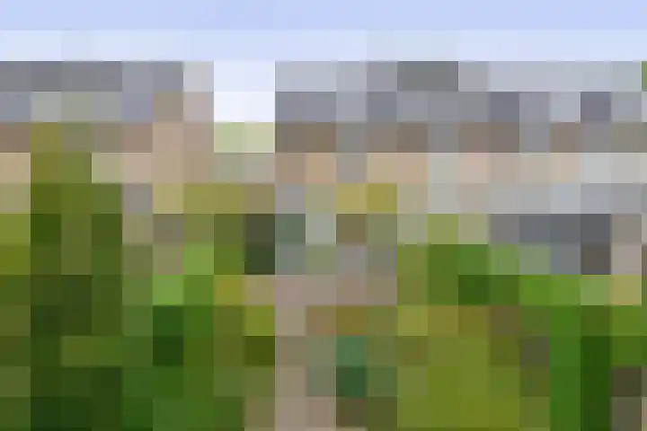 Narcishof 22 Schijndel thumbnail 36