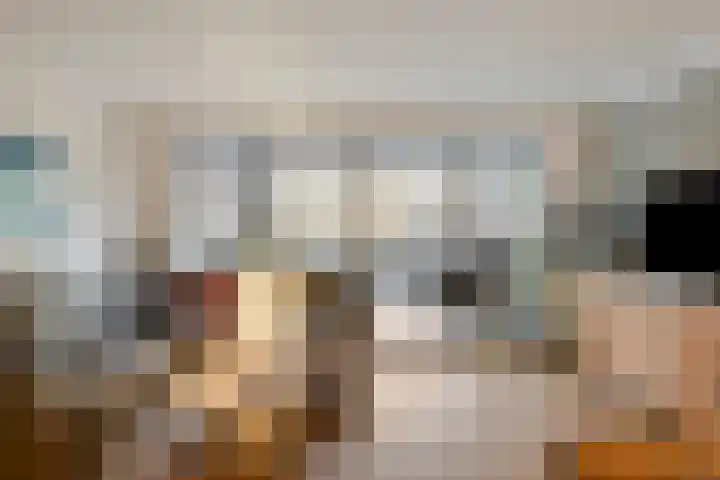 Narcishof 8 Schijndel thumbnail 12