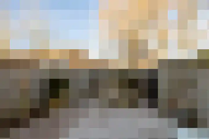 Narcishof 8 Schijndel thumbnail 17
