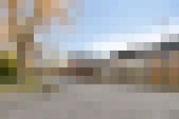 Narcishof 8 Schijndel thumbnail 21