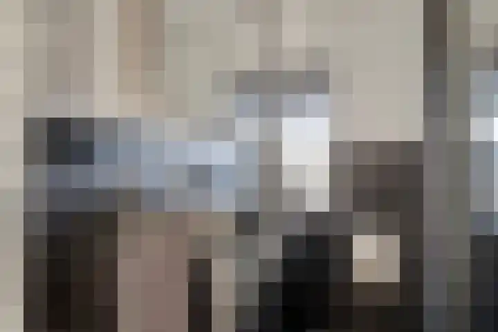 Narcishof 8 Schijndel thumbnail 28
