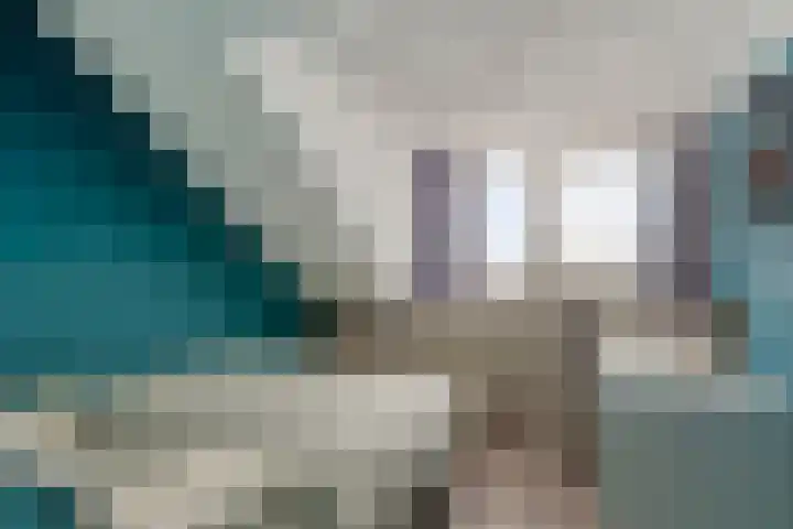 Narcishof 8 Schijndel thumbnail 32