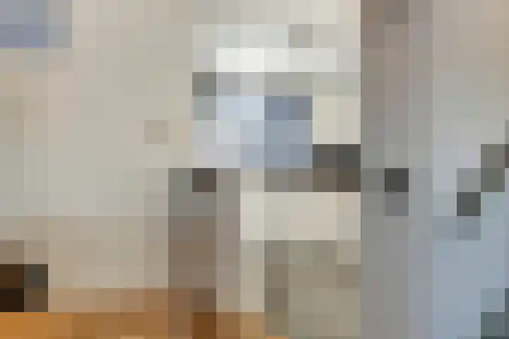 Narcishof 8 Schijndel thumbnail 8