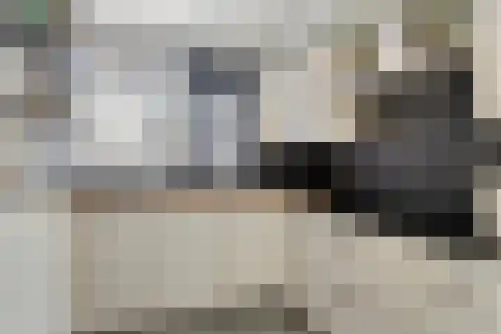 Narcishof 8 Schijndel thumbnail 9