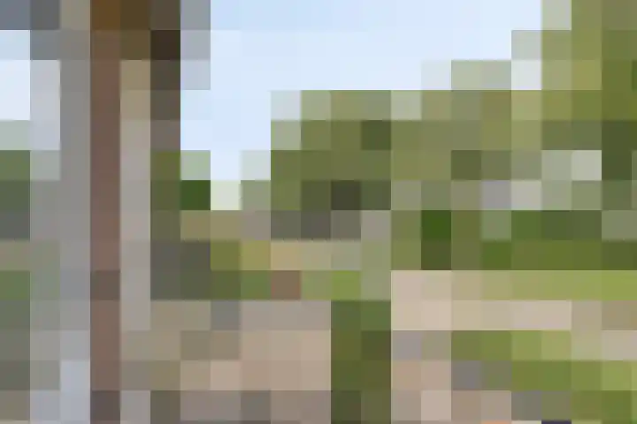 Narcislaan 11 Heesch thumbnail 19