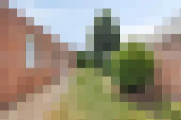 Narcislaan 11 Heesch thumbnail 23