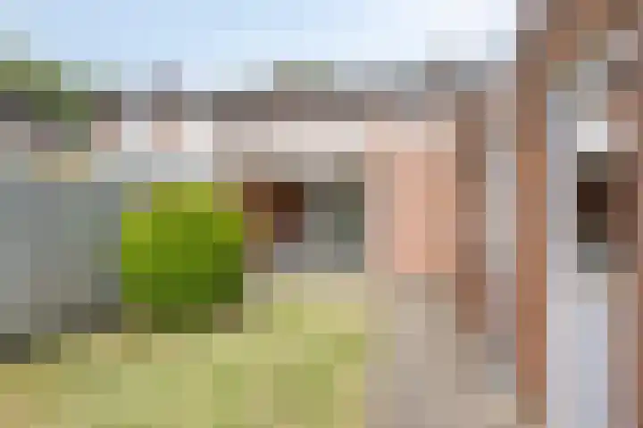 Narcislaan 11 Heesch thumbnail 24