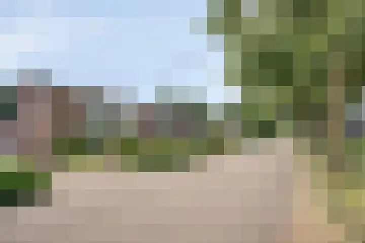 Narcislaan 11 Heesch thumbnail 26