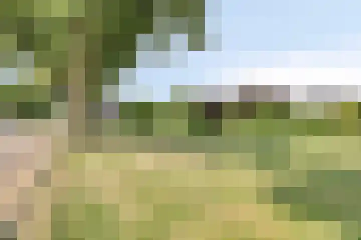 Narcislaan 11 Heesch thumbnail 27