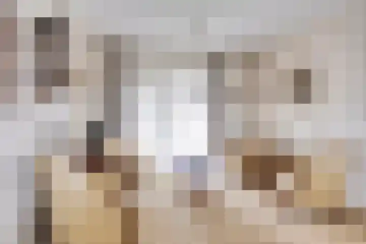 Narcislaan 11 Heesch thumbnail 4