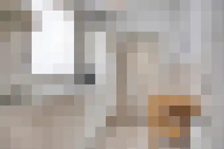 Narcislaan 11 Heesch thumbnail 9