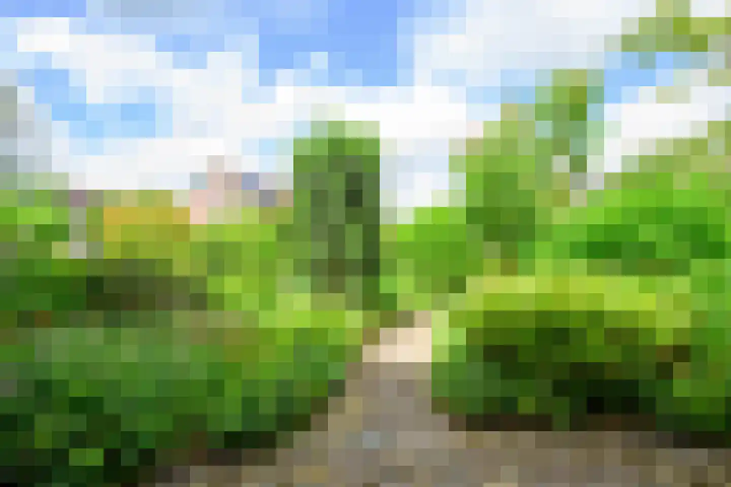 Narcislaan 18 Winkel thumbnail 35