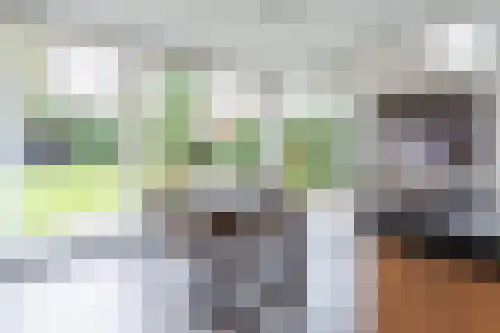 Narcislaan 21 Leende thumbnail 23