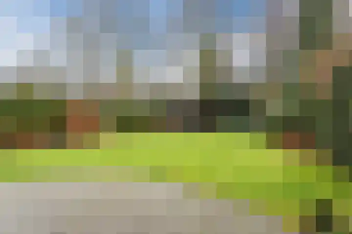 Narcislaan 21 Leende thumbnail 50