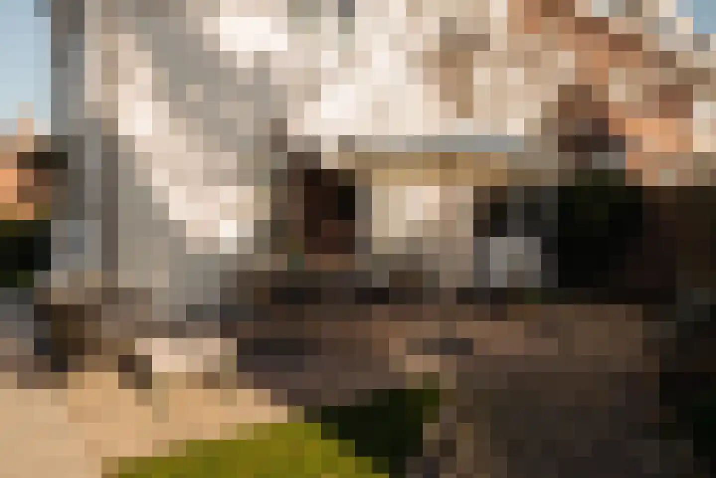Narcislaan 21 Wassenaar thumbnail 20